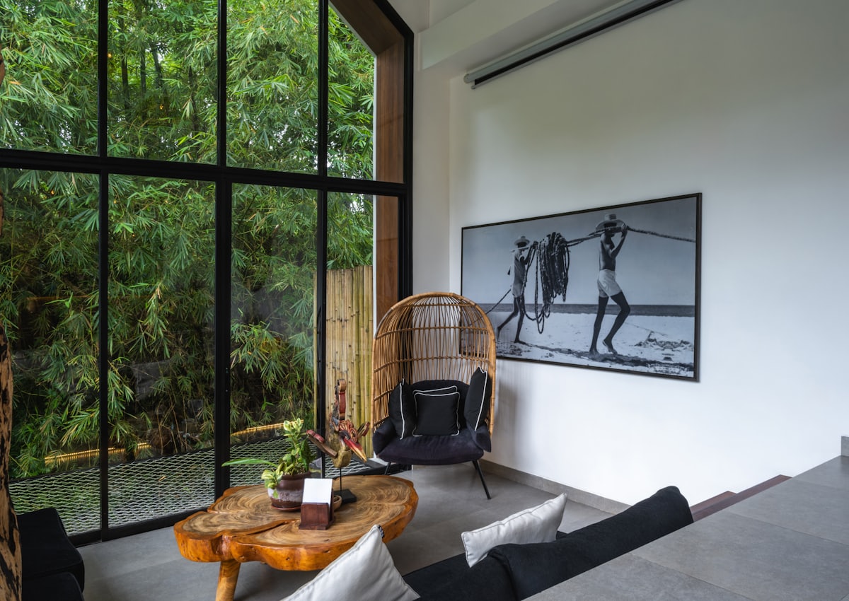 Slim black framed floor to ceiling glazing looking out onto planting